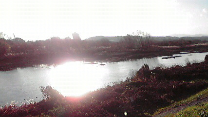 2008112915210000.jpg