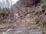 2010041114560000.jpg