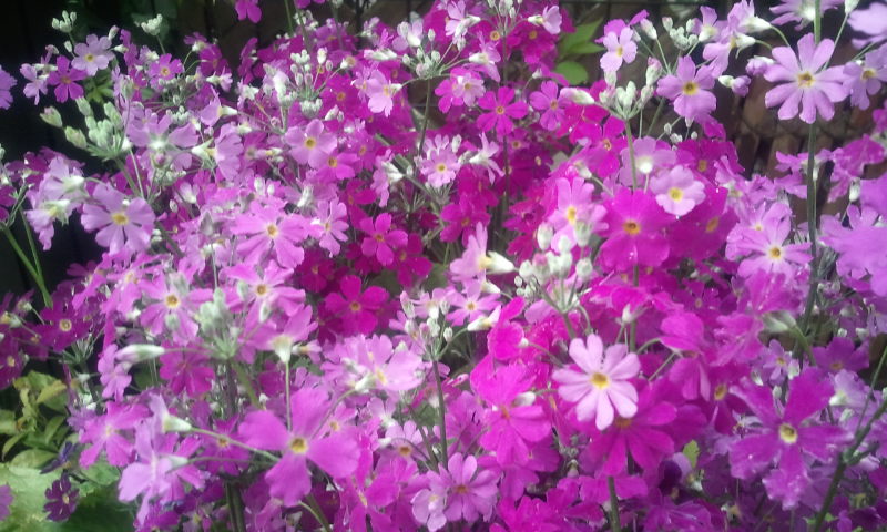 2012-04-10 17.26.12.jpg