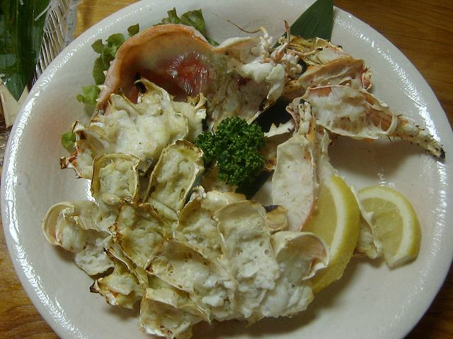 SANY0023.jpg
