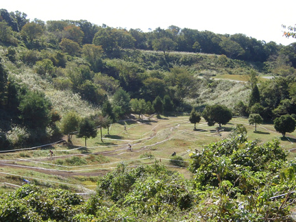 SANY1359.JPG