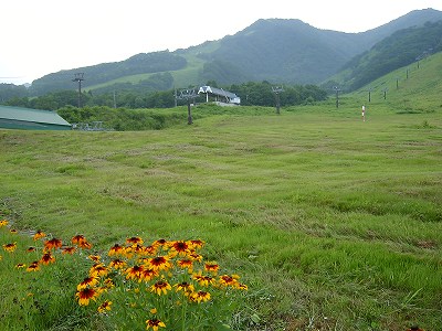 ss-SANY1261.jpg