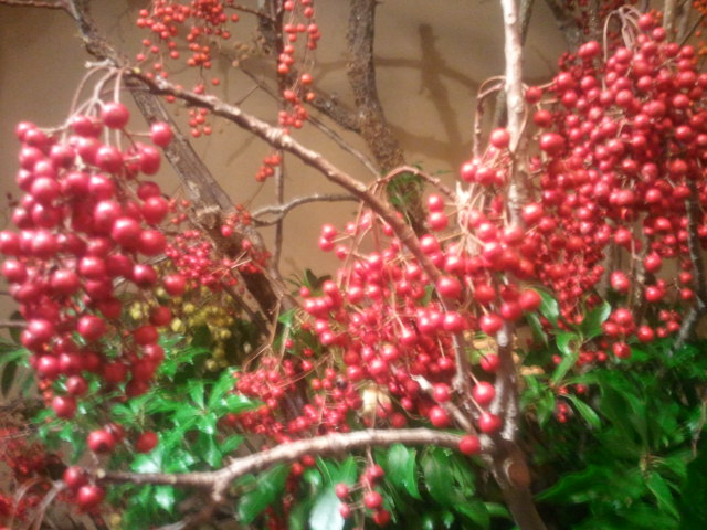 2011-11-19 16.59.36.jpg