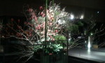 2012-01-07 21.17.41.jpg